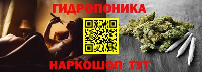 прущие грибы Ипатово