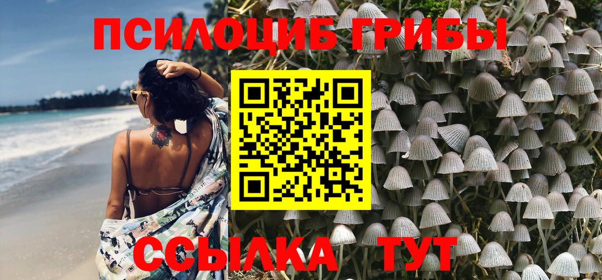 Ярославль  Псилоцибиновые грибы Psilocybine cubensis  Галлюциногенные грибы Magic Shrooms  Вход с VPN 
