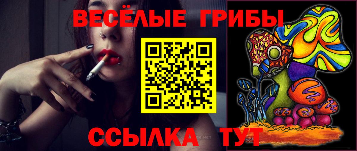 Псилоцибиновые грибы Psilocybine cubensis Ярославль